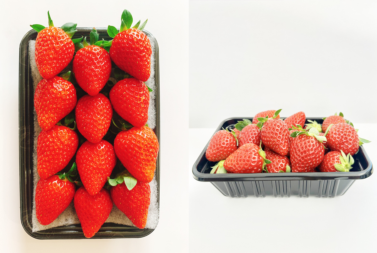 top | 上原さんちのいちご畑